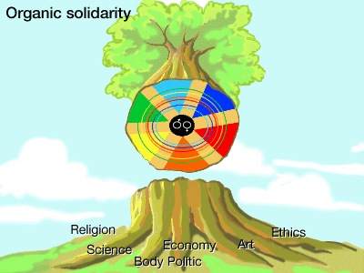 Our theory in graphic form